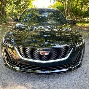 Meet your Posher, Rigo